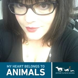 Meet your Posher, Sossity